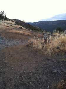Start of B trail. Fast, techy singletrack coming up.