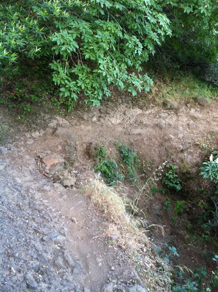 The infamous "toilet bowl" section. Should you attempt to clean it, be sure you don't get flushed.