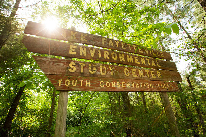 Big sign before a sweet section through the pines.