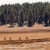 Crossing the dam on the south side of Big Laguna Lake