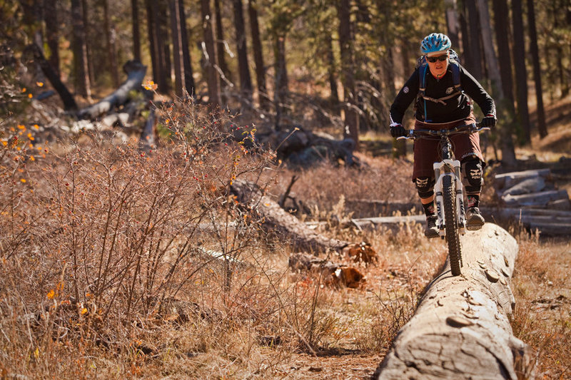 Red Tail Roost features a number of different natural wooden features to test your mettle.
