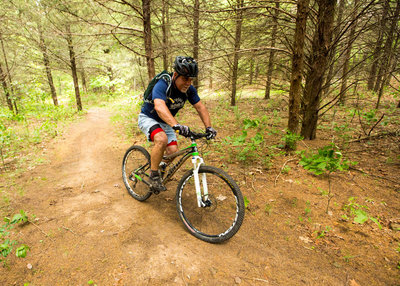 A nice little section of cedars on the Mt Sequoyah Woods loop.
