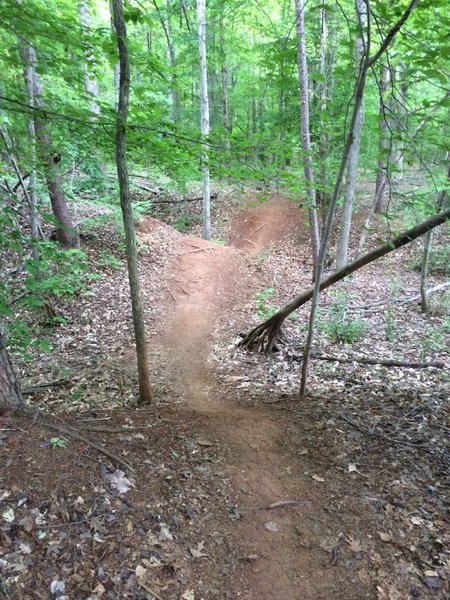 Trail features