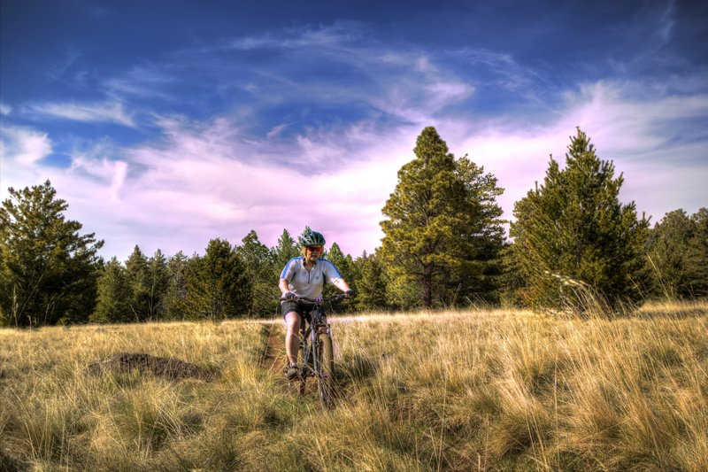 Riding the open meadow