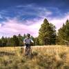 Riding the open meadow