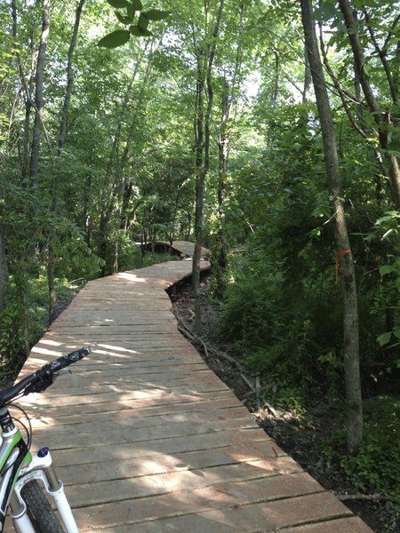 350 ft cedar boardwalk, very nice