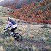 Getting started on the down. The trail comes up the draw in the background from Cusick Creek.