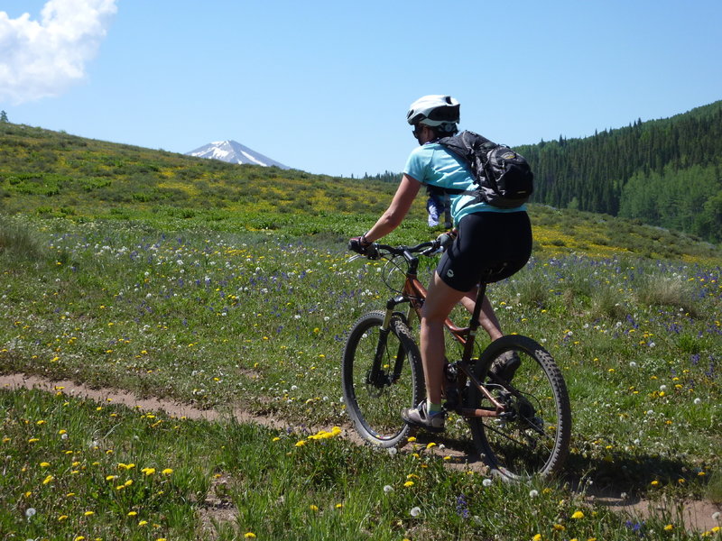 A gentle climb at the start of the Snodgrass Trail