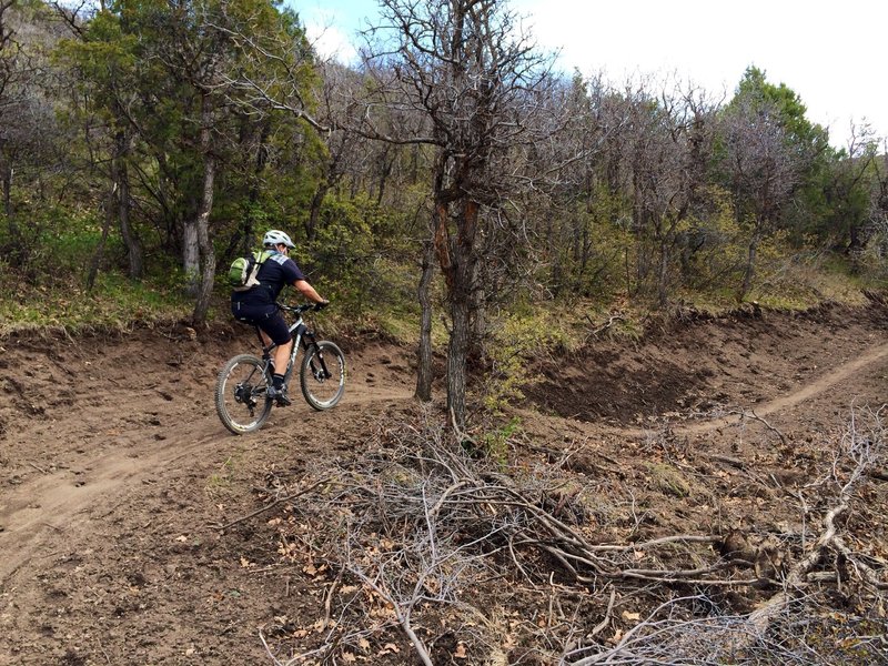 Swooping uphill on the Cozyline Trail.