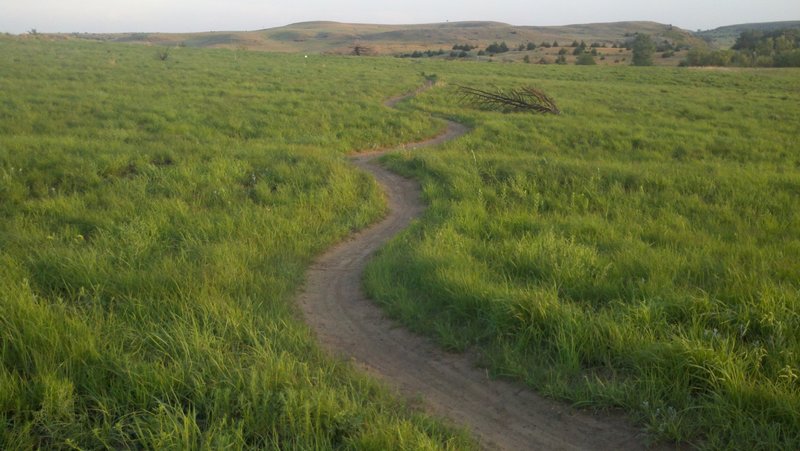 A segment of the EZ, aka novice loop. It is a 5.5 mi loop that begins and ends at the trailhead.