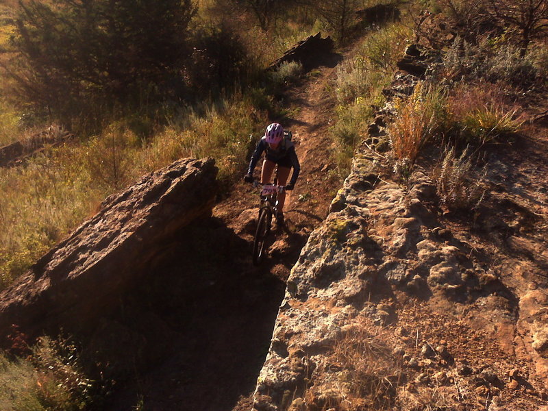 Hell Creek Loop near the 14 mi mark on the main big loop. The picture is taken from a biker's eye view from a trail segment that is on a ledge directly above where this rider is.