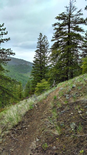 This trail has sections that have great views of the upper Beaver Creek area