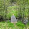 The bridge over the creek lets you know your descent has ended and just the short climb to the road remains.