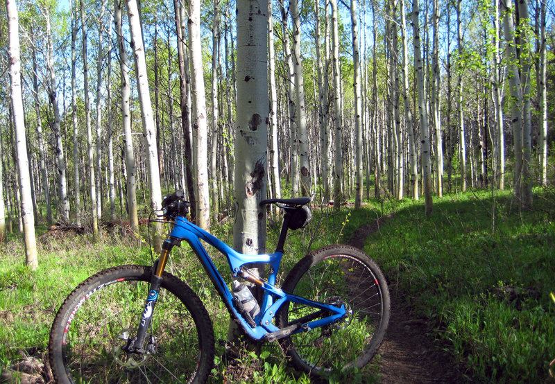 Love the aspens on Tusky Ridge.