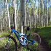 Love the aspens on Tusky Ridge.