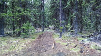 The opening section at the top of the trail.