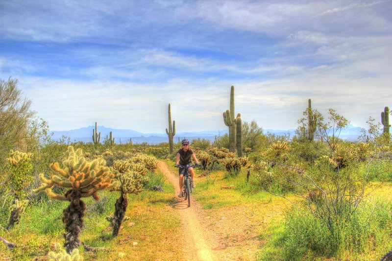 Early spring ride on Dixie Mine Trail