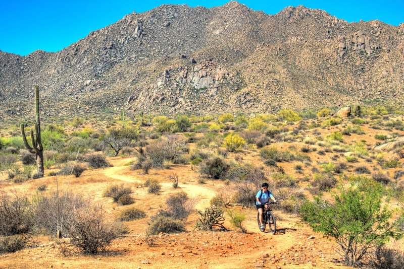 Cruisin' down Rock Knob Trail