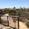 Top of Camino Ruiz Trail. Awesome singletrack.