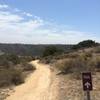 This trail narrows to singletrack then a huge drop for some fast downhill. Be careful!