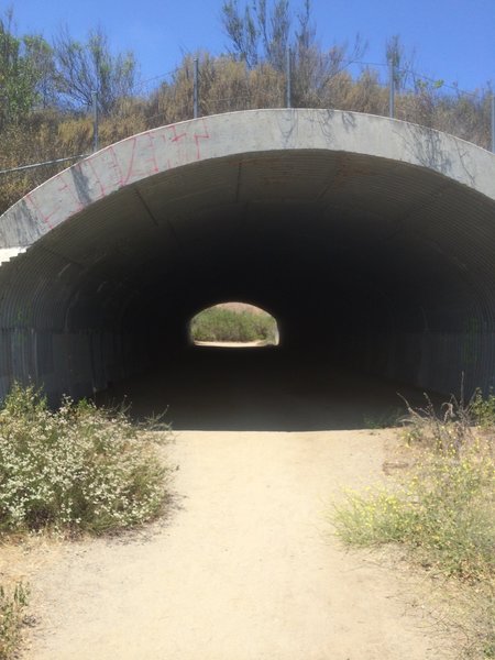 This underpass goes to a place called Clews Ranch. I will get to this soon.