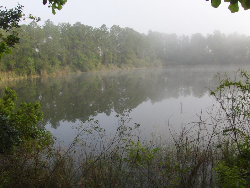 Trout Creek Park