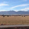 Beautiful views to the west along the Niwot trail section along 83rd St.  This trail links the Niwot loop to the new section of LoBo trail towards Longmont.