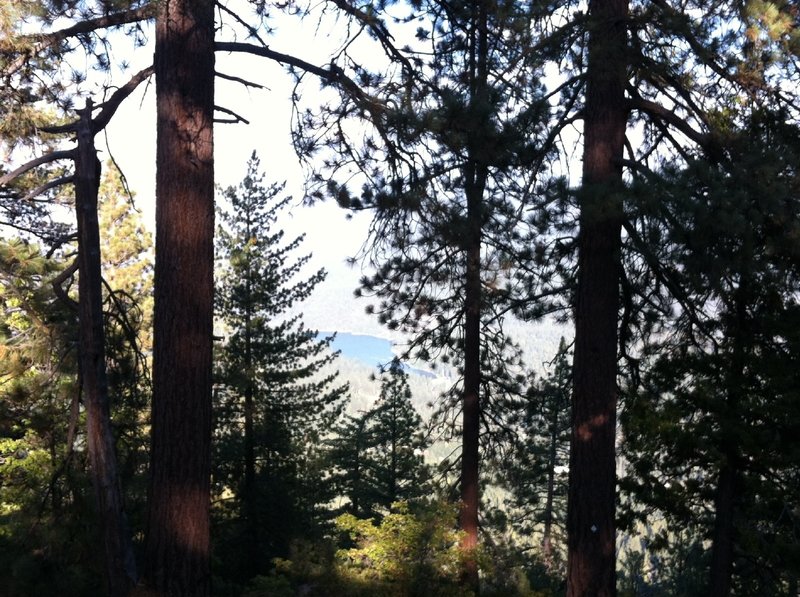 Hume Lake through the trees