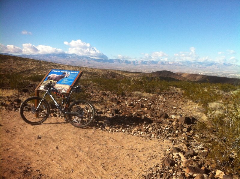 View point on the McCullough Hills Trail