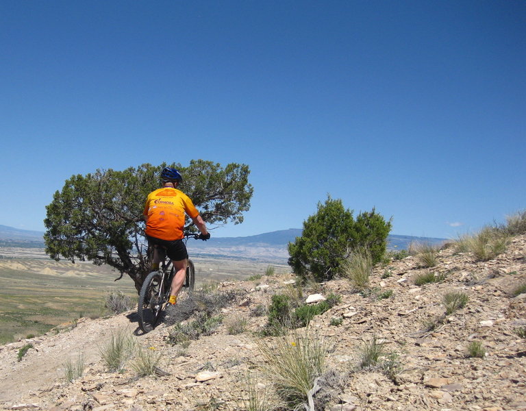 sidewinder between the wave and bobcat trail