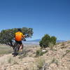 sidewinder between the wave and bobcat trail