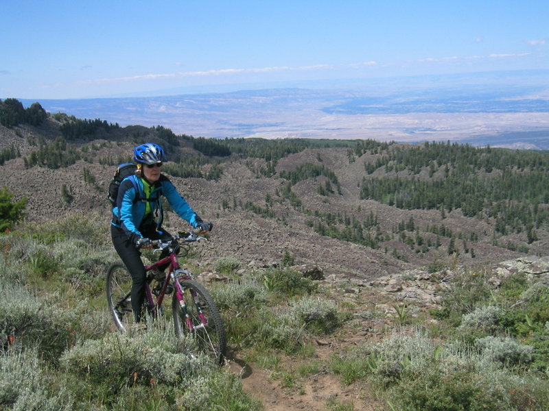 Flowing Park views are spectacular!