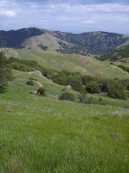 View back down the trail from the top.