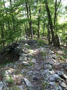 Rocky ridge trail after the fire tower, before a big drop
