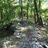 Rocky ridge trail after the fire tower, before a big drop