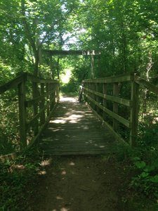 Nice bridge on the Woodland Trail.