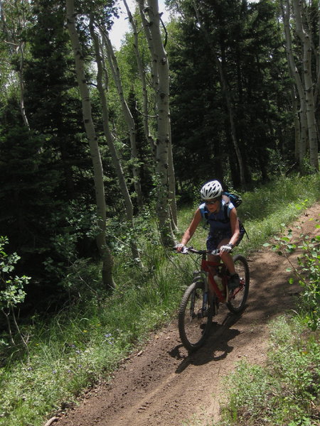 Cruising Aspen Trail