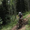 Cruising Aspen Trail