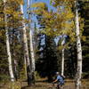 Tim Gallegos cruising through the aspens