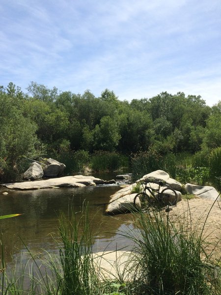 Trail to the river.