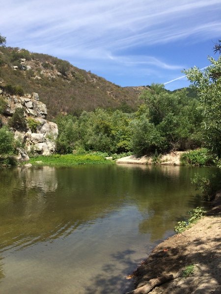 Part of the swimming hole.