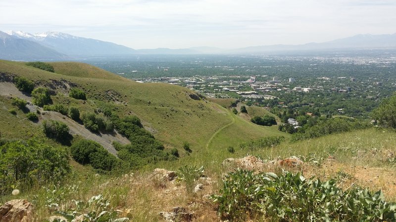 Looking at the U of Utah from Bonneville Shoreline Trail