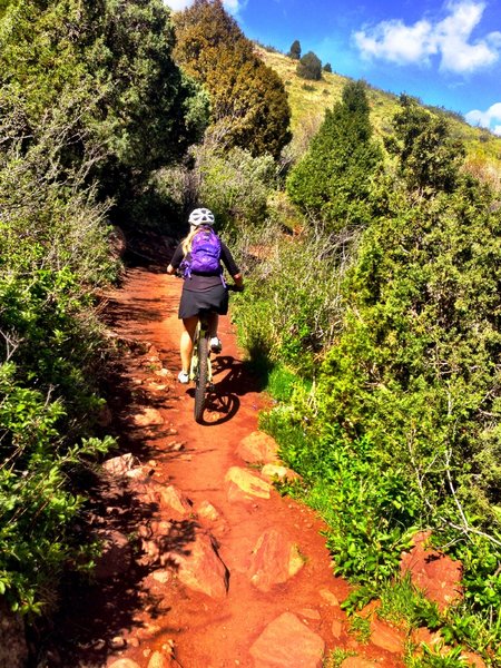 Technical, rocky climb with lots of switchbacks.