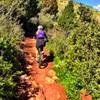 Technical, rocky climb with lots of switchbacks.