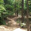 Start of Crow Branch Overlook loop.