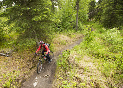 Approaching Queen Bee Loop on Drone Lane