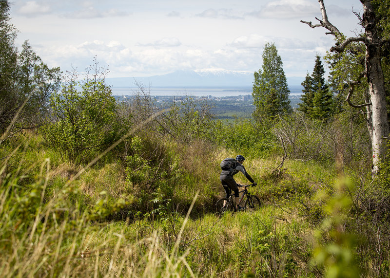 Great views of Anchorage available throughout the Hillside trail network