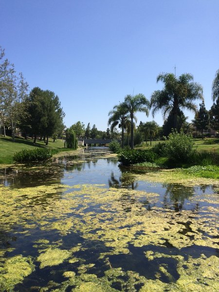 View east towards golf course.