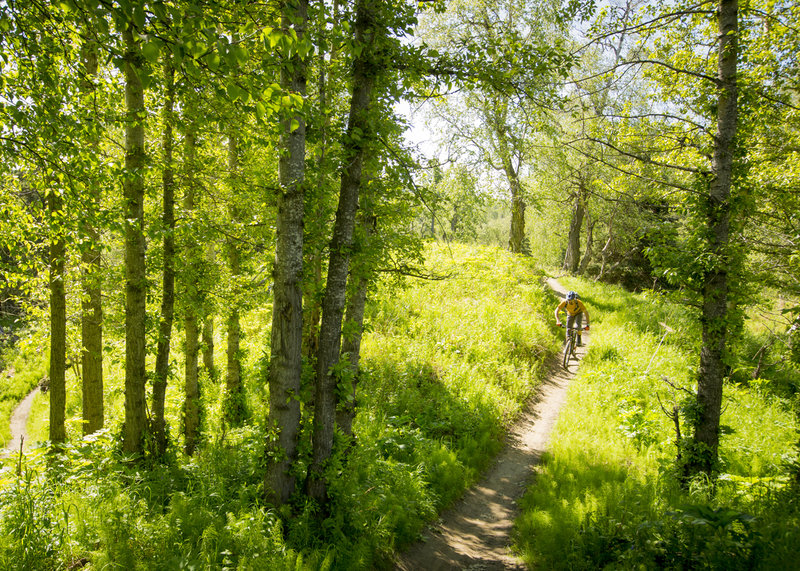 Approaching the high point of Bolling Alley.