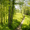 Approaching the high point of Bolling Alley.